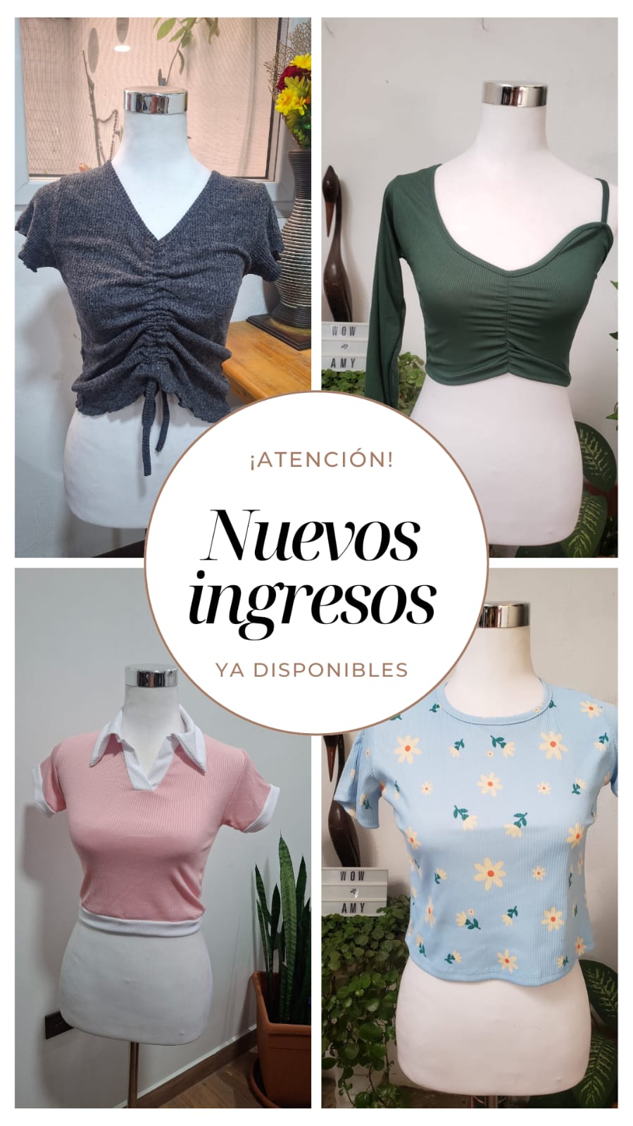 Promoción Especial