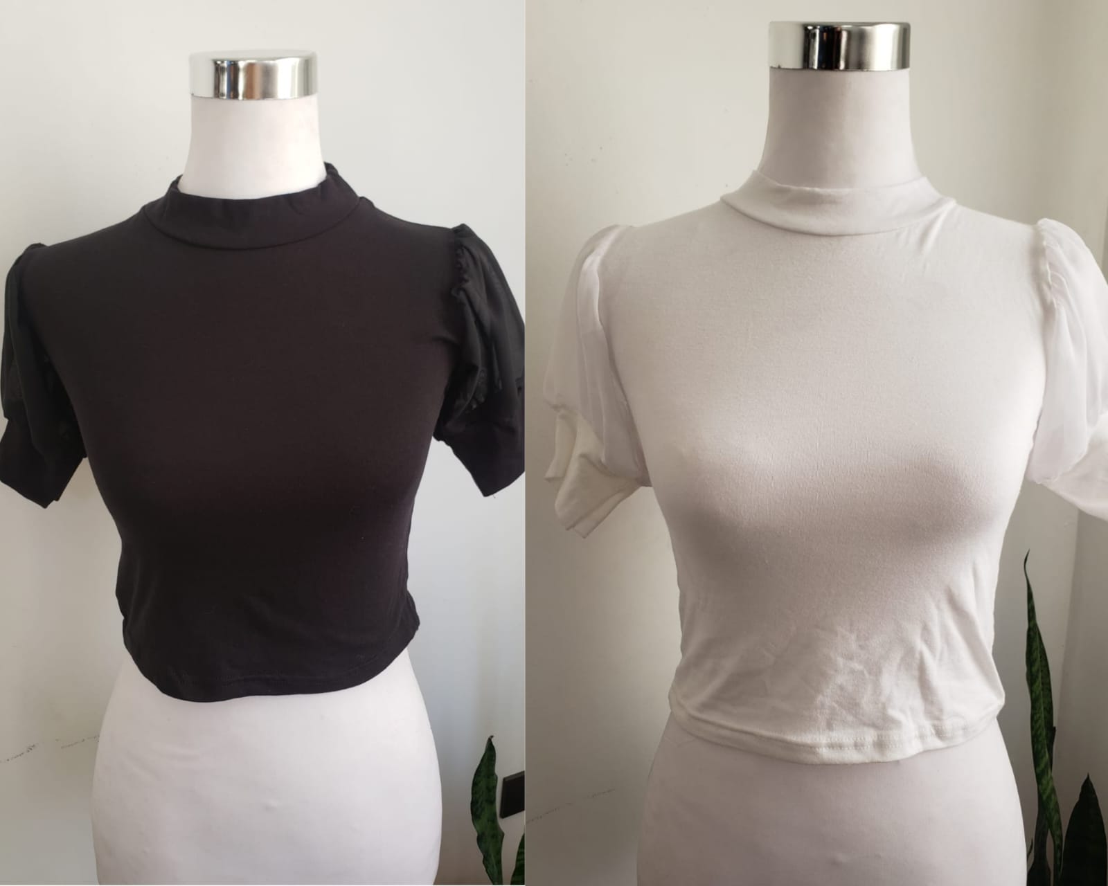 Crop top manga corta con transparencia